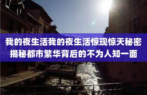 我的夜生活我的夜生活惊现惊天秘密揭秘都市繁华背后的不为人知一面