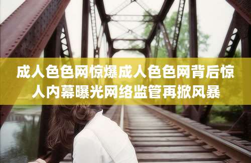 成人色色网惊爆成人色色网背后惊人内幕曝光网络监管再掀风暴
