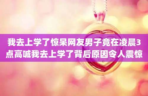我去上学了惊呆网友男子竟在凌晨3点高喊我去上学了背后原因令人震惊