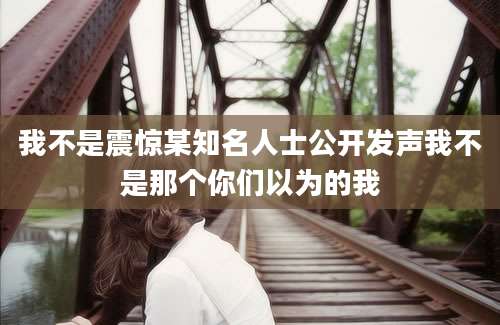 我不是震惊某知名人士公开发声我不是那个你们以为的我