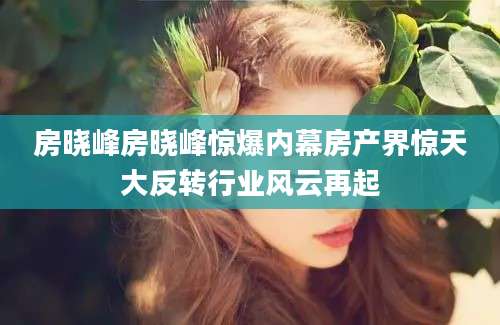 房晓峰房晓峰惊爆内幕房产界惊天大反转行业风云再起