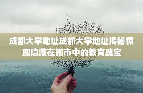 成都大学地址成都大学地址揭秘惊现隐藏在闹市中的教育瑰宝