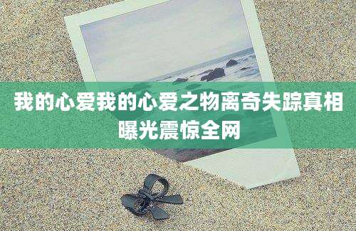 我的心爱我的心爱之物离奇失踪真相曝光震惊全网