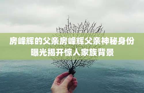 房峰辉的父亲房峰辉父亲神秘身份曝光揭开惊人家族背景