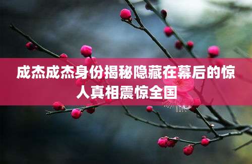 成杰成杰身份揭秘隐藏在幕后的惊人真相震惊全国