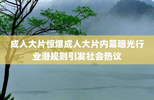 成人大片惊爆成人大片内幕曝光行业潜规则引发社会热议