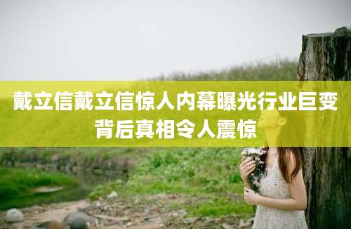 戴立信戴立信惊人内幕曝光行业巨变背后真相令人震惊