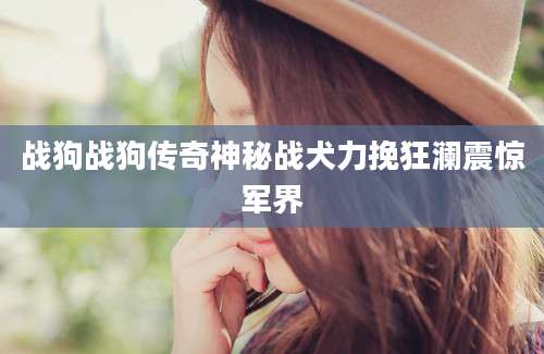 战狗战狗传奇神秘战犬力挽狂澜震惊军界