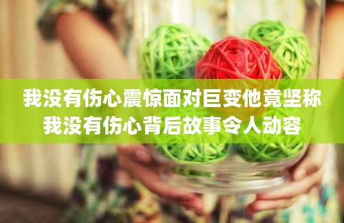 我没有伤心震惊面对巨变他竟坚称我没有伤心背后故事令人动容