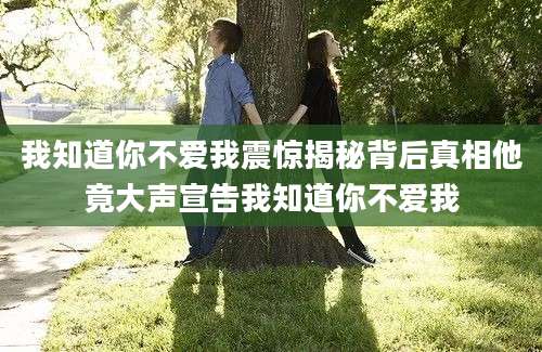 我知道你不爱我震惊揭秘背后真相他竟大声宣告我知道你不爱我