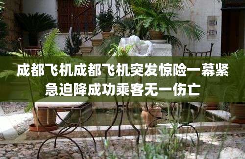 成都飞机成都飞机突发惊险一幕紧急迫降成功乘客无一伤亡