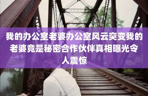我的办公室老婆办公室风云突变我的老婆竟是秘密合作伙伴真相曝光令人震惊