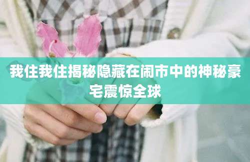 我住我住揭秘隐藏在闹市中的神秘豪宅震惊全球