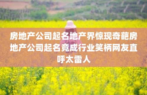 房地产公司起名地产界惊现奇葩房地产公司起名竟成行业笑柄网友直呼太雷人