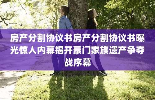 房产分割协议书房产分割协议书曝光惊人内幕揭开豪门家族遗产争夺战序幕