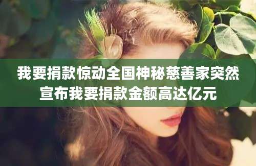 我要捐款惊动全国神秘慈善家突然宣布我要捐款金额高达亿元