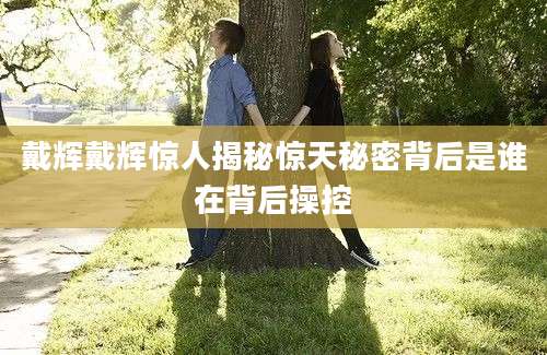 戴辉戴辉惊人揭秘惊天秘密背后是谁在背后操控