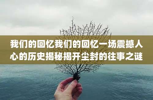 我们的回忆我们的回忆一场震撼人心的历史揭秘揭开尘封的往事之谜