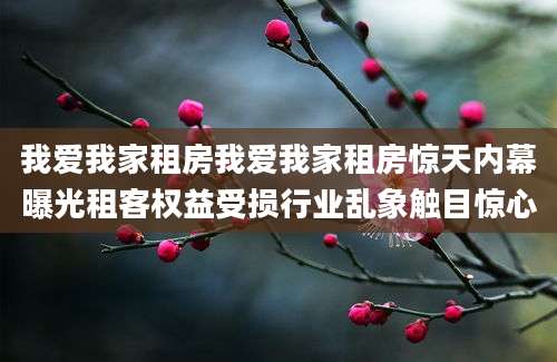 我爱我家租房我爱我家租房惊天内幕曝光租客权益受损行业乱象触目惊心