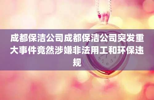 成都保洁公司成都保洁公司突发重大事件竟然涉嫌非法用工和环保违规