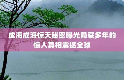 成海成海惊天秘密曝光隐藏多年的惊人真相震撼全球