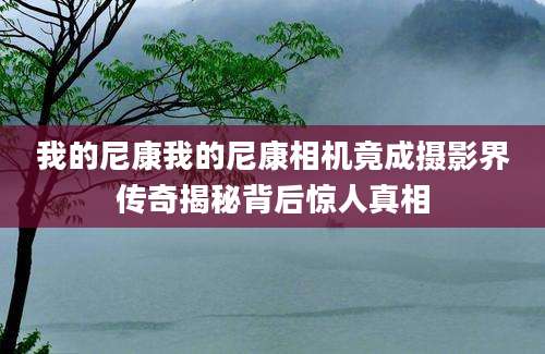 我的尼康我的尼康相机竟成摄影界传奇揭秘背后惊人真相