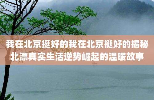 我在北京挺好的我在北京挺好的揭秘北漂真实生活逆势崛起的温暖故事