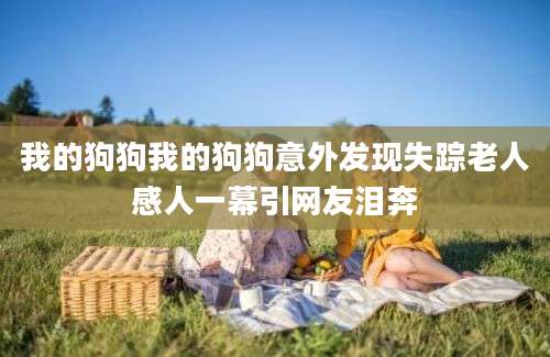 我的狗狗我的狗狗意外发现失踪老人感人一幕引网友泪奔