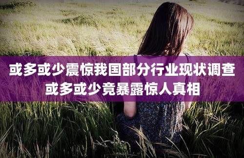 或多或少震惊我国部分行业现状调查或多或少竟暴露惊人真相