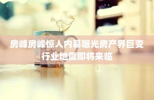 房峰房峰惊人内幕曝光房产界巨变行业地震即将来临