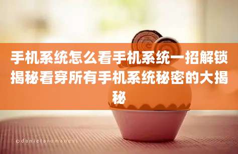 手机系统怎么看手机系统一招解锁揭秘看穿所有手机系统秘密的大揭秘