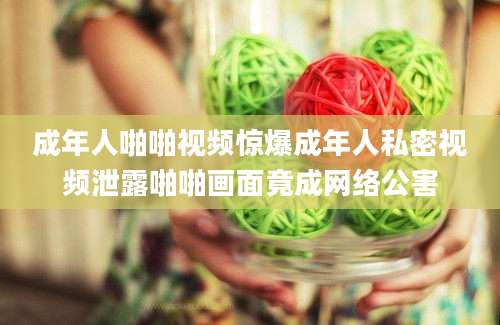 成年人啪啪视频惊爆成年人私密视频泄露啪啪画面竟成网络公害
