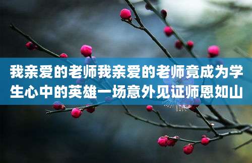 我亲爱的老师我亲爱的老师竟成为学生心中的英雄一场意外见证师恩如山