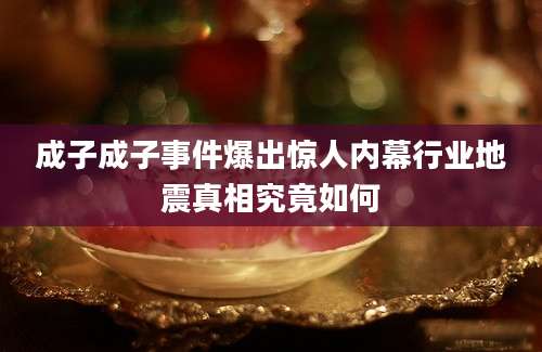 成子成子事件爆出惊人内幕行业地震真相究竟如何