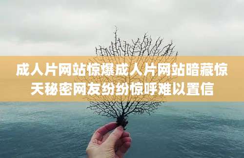 成人片网站惊爆成人片网站暗藏惊天秘密网友纷纷惊呼难以置信
