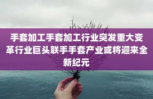 手套加工手套加工行业突发重大变革行业巨头联手手套产业或将迎来全新纪元