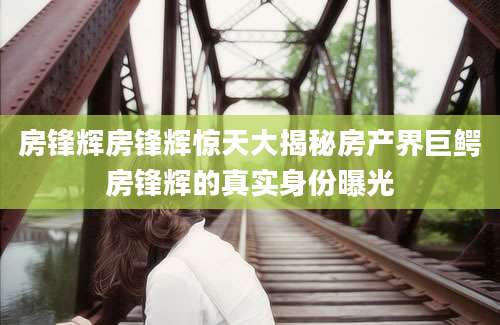 房锋辉房锋辉惊天大揭秘房产界巨鳄房锋辉的真实身份曝光
