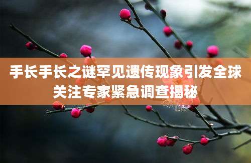 手长手长之谜罕见遗传现象引发全球关注专家紧急调查揭秘