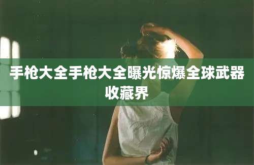 手枪大全手枪大全曝光惊爆全球武器收藏界