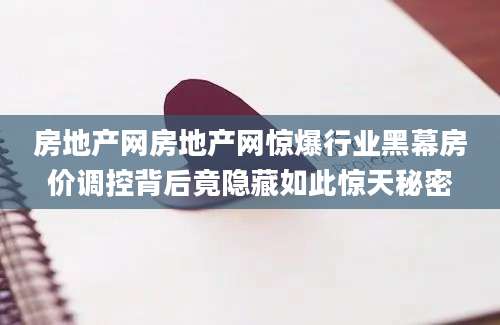 房地产网房地产网惊爆行业黑幕房价调控背后竟隐藏如此惊天秘密