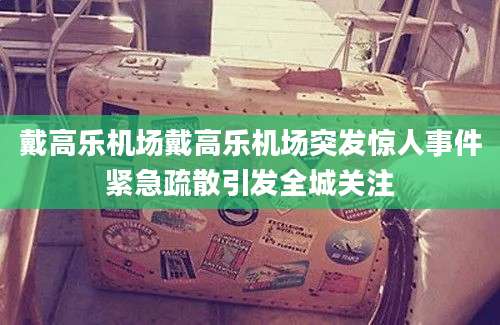 戴高乐机场戴高乐机场突发惊人事件紧急疏散引发全城关注