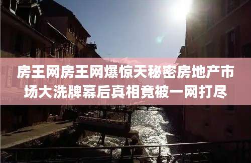 房王网房王网爆惊天秘密房地产市场大洗牌幕后真相竟被一网打尽