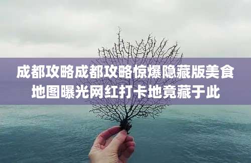 成都攻略成都攻略惊爆隐藏版美食地图曝光网红打卡地竟藏于此