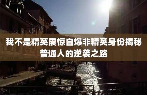 我不是精英震惊自爆非精英身份揭秘普通人的逆袭之路