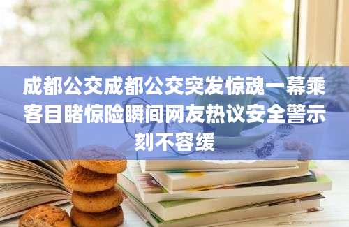 成都公交成都公交突发惊魂一幕乘客目睹惊险瞬间网友热议安全警示刻不容缓
