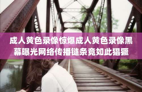 成人黄色录像惊爆成人黄色录像黑幕曝光网络传播链条竟如此猖獗
