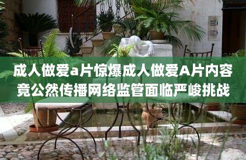 成人做爱a片惊爆成人做爱A片内容竟公然传播网络监管面临严峻挑战