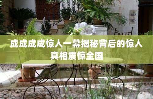 成成成成惊人一幕揭秘背后的惊人真相震惊全国