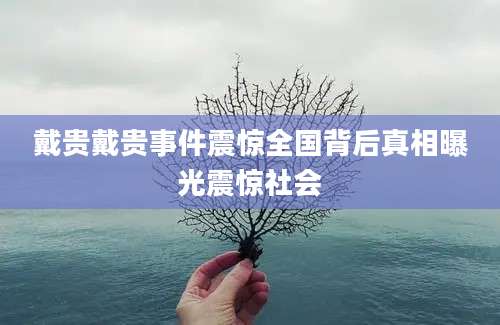戴贵戴贵事件震惊全国背后真相曝光震惊社会