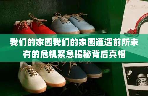 我们的家园我们的家园遭遇前所未有的危机紧急揭秘背后真相
